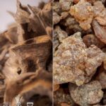 Agarwood Benzoin Fragrance Oil FOC507155PSB