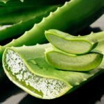 Aloe Vera Fragrance Oil FOG5077676FFN