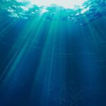 Aquatic Fragrance Oil FOG5074728FFN