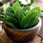 Bay Leaf Fragrance Oil FOG5072030FFN