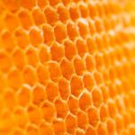 Beeswax Fragrance Oil