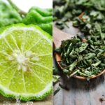 Bergamot Tea Fragrance Oil FOG5074864PSB