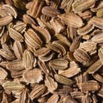 Carrot Seed Fragrance Oil