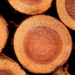 Cedarwood Fragrance Oil FOG5074744FFN