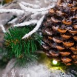 Chrismas Pine Fragrance Oil FOC507417PSB