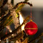 Christmas Vibes Fragrance Oil FOC507371PSB