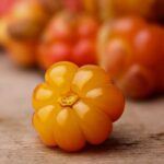 Cloudberry Fragrance Oil FOG5078819FFN