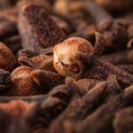 Cloves Fragrance Oil FOC507039FFN