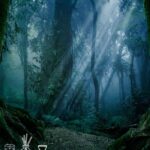 Dark Forest Fragrance Oil FOG5073371PSB