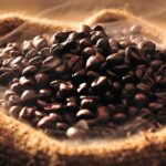 Dark Roast Coffee Fragrance Oil FOG5072941FFN