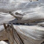Driftwood Fragrance Oil FOG5070638FFN