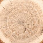 Guaiac wood Fragrance Oil FOG5075136FFN