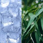 Ice Cool Eucalyptus Fragrance Oil FOG5072717PSB