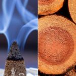 Incense Cedar Fragrance Oil FOC507276PSB