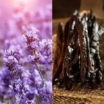 Lavender Vanilla Fragrance Oil FOC507416PSB