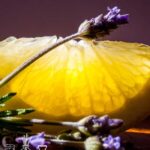 Lemon Lavender Fragrance Oil FOC507379PSB