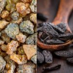 Myrrh & Tonka Bean Fragrance Oil FOG5074450PSB