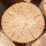 Oak Wood Fragrance Oil FOC507242FFN