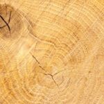 Oak Wood Fragrance Oil FOG5075565FFN