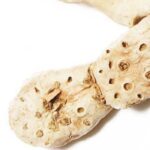 Orris Root Fragrance Oil FOG5070500FFN