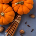 Pumpkin Spice Fragrance Oil FOC507381PSB