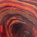 Rosewood Fragrance Oil FOG5075303FFN