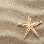 Sand Fragrance Oil FOC507128FFN