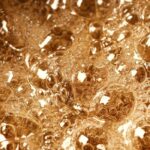 Simmered Sugar Fragrance Oil FOC507156FFN