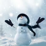 Snow Pixie Fragrance Oil FOC507374PSB