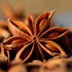 Star Anise Fragrance Oil FOC507074FFN