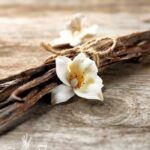 Vanilla Lace Fragrance Oil FOC507284PSB