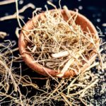 Vetiver Fragrance Oil FOC507123FFN