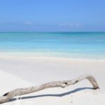 Vol Amber Fragrance Oil FOC507358PSB