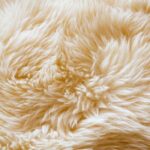 Wool Fragrance Oil FOG5077805FFN